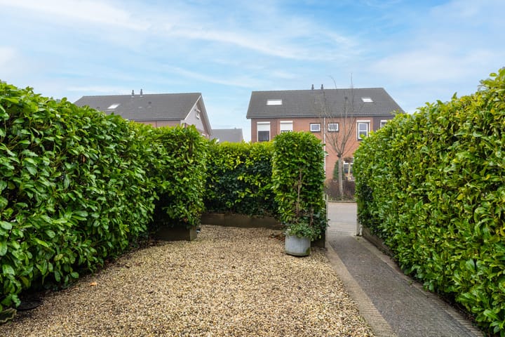 Foto 3 van Richter 71