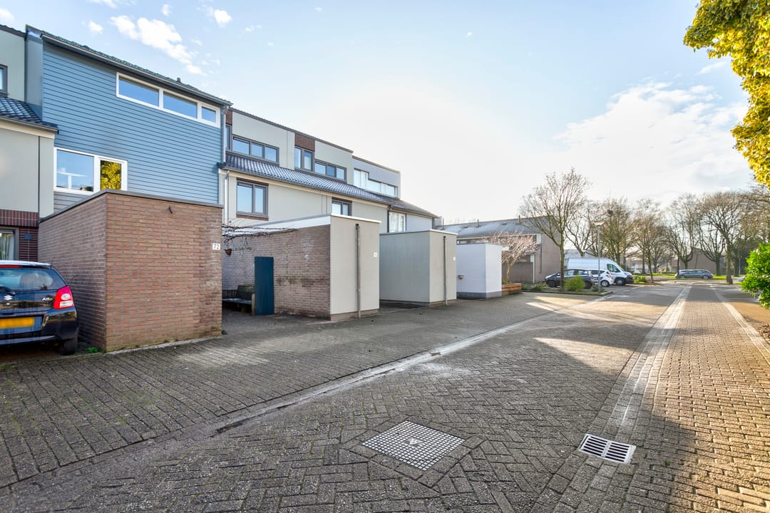 Foto 38 van Eerste Haren 72