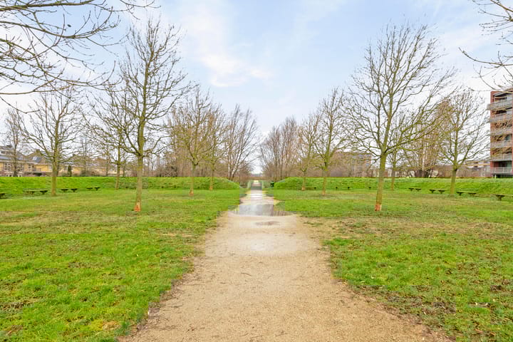 Foto 24 van Lobeliuslaan 204