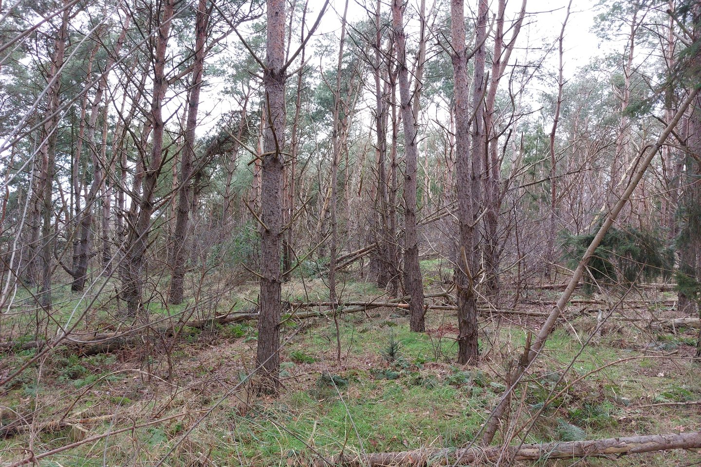 Bekijk foto 3 van Zaanderweg