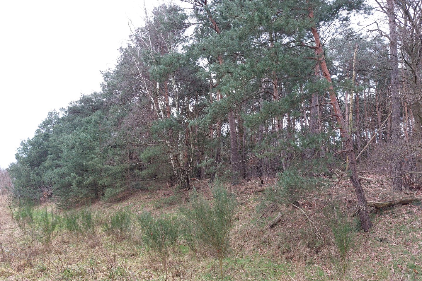 Bekijk foto 4 van Zaanderweg