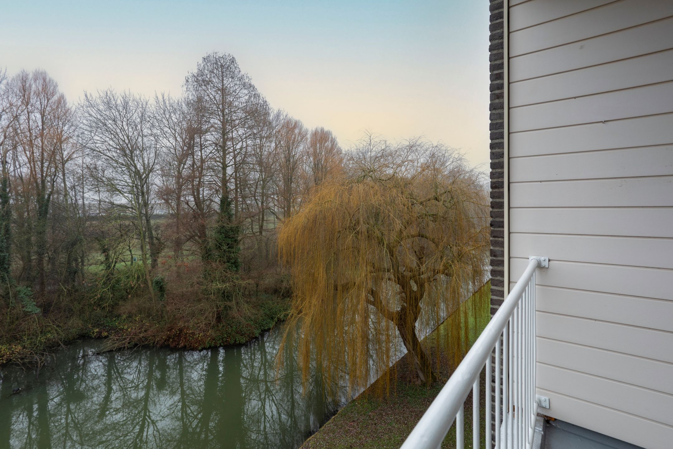 Foto 18 van Ruygeplaat 179