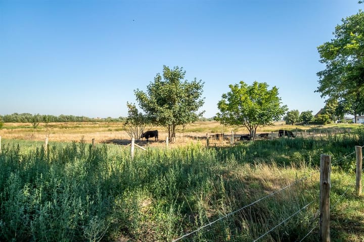 Foto 4 van Pannesheuvel 24