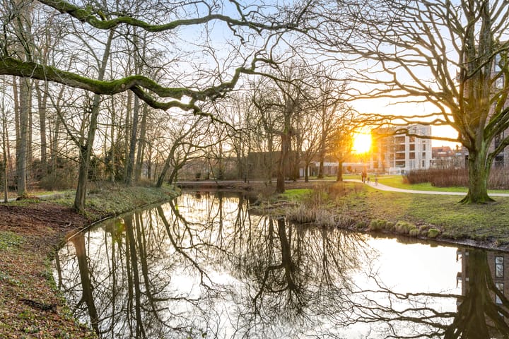 Foto 31 van Blekerssingel 55