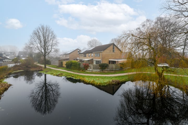 Foto 1 van Lavendelheide 1