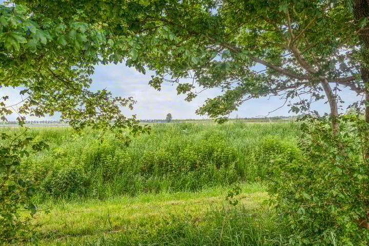 Foto 44 van Eindhovenschelaan 3