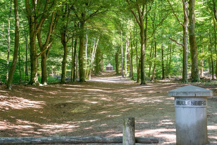 Foto 7 van Selterskampweg 1