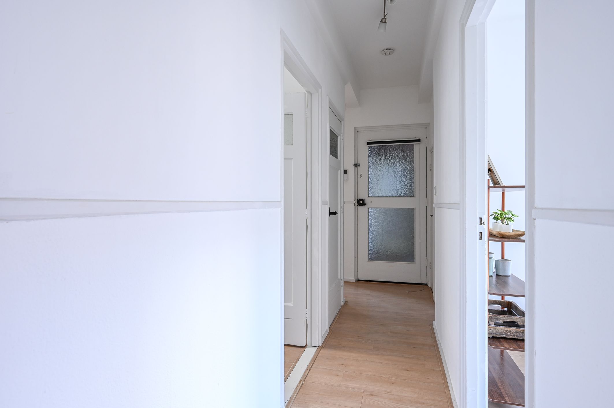 Photo 12 of Oppert 5-B