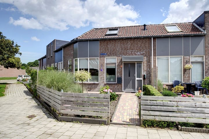 undefined main image