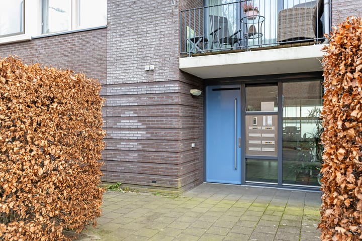 Foto 4 van Hoge Dries 423