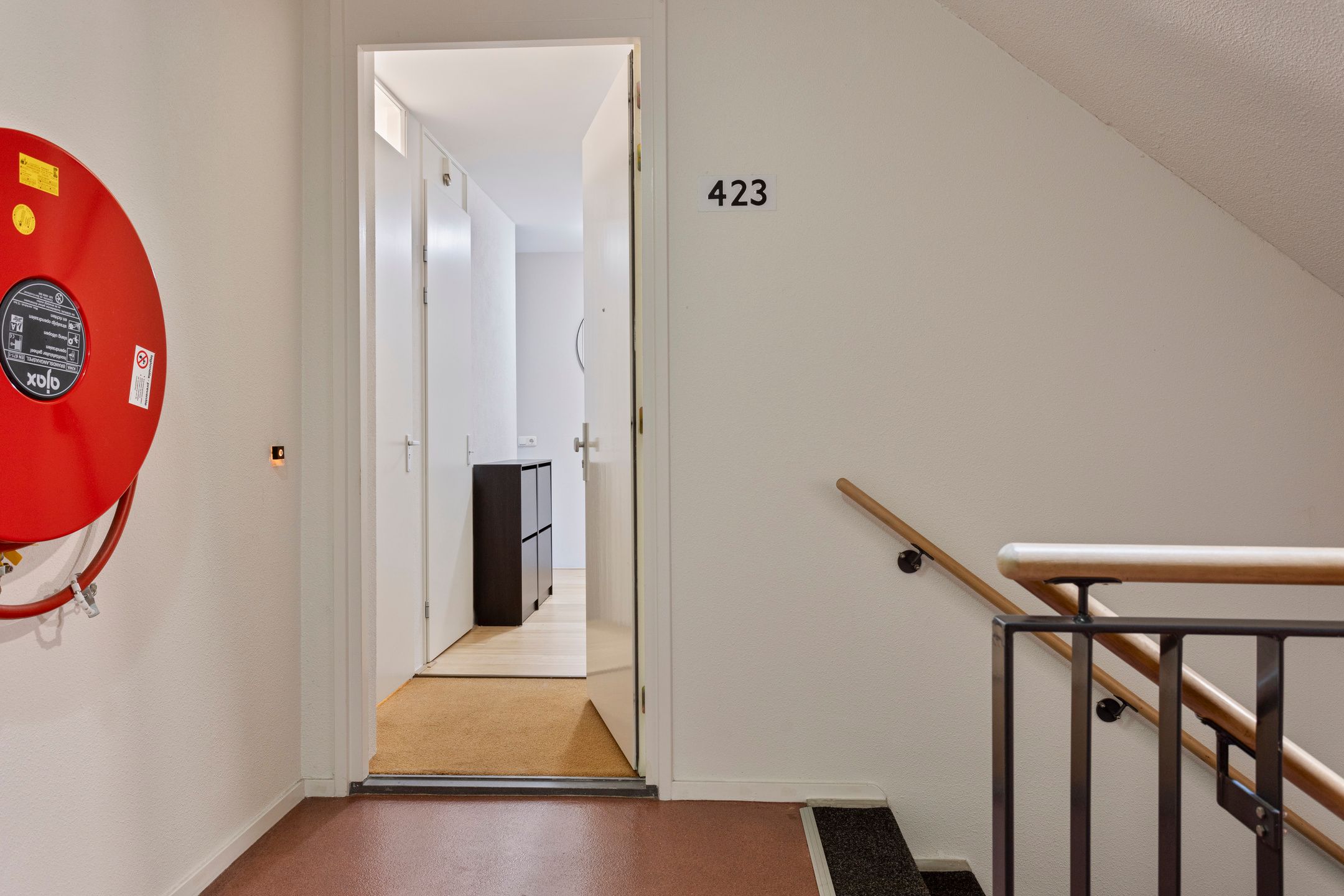 Foto 6 van Hoge Dries 423