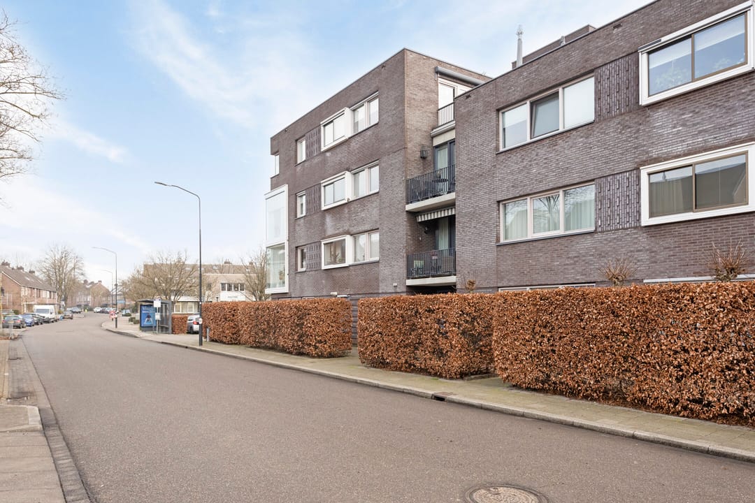 Foto 37 van Hoge Dries 423