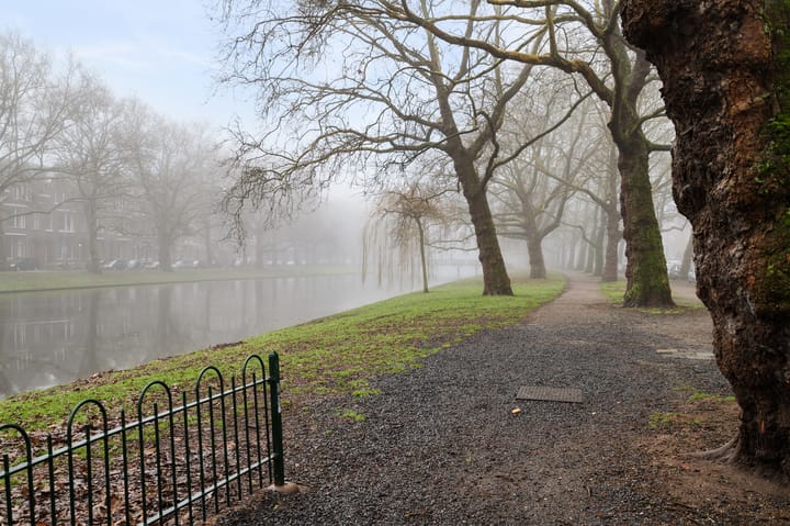 Foto 3 van Suze Groeneweglaan 219