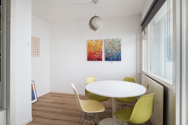 Foto 7 van Suze Groeneweglaan 219