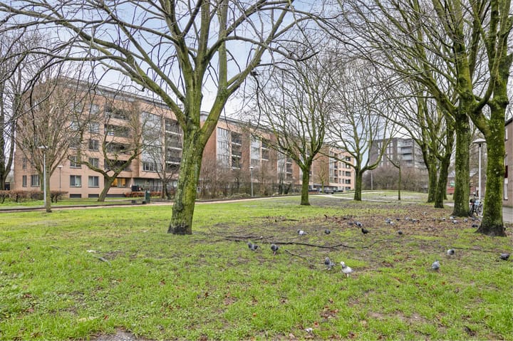 Foto 20 van Lumeystraat 45