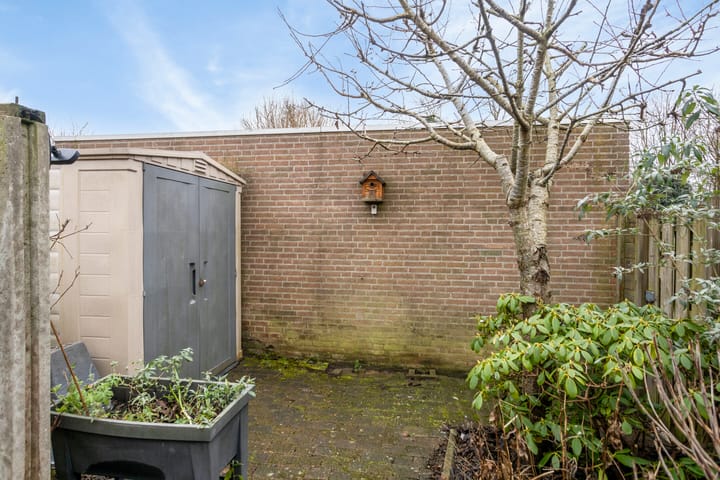 Foto 35 van Tarwestraat 41