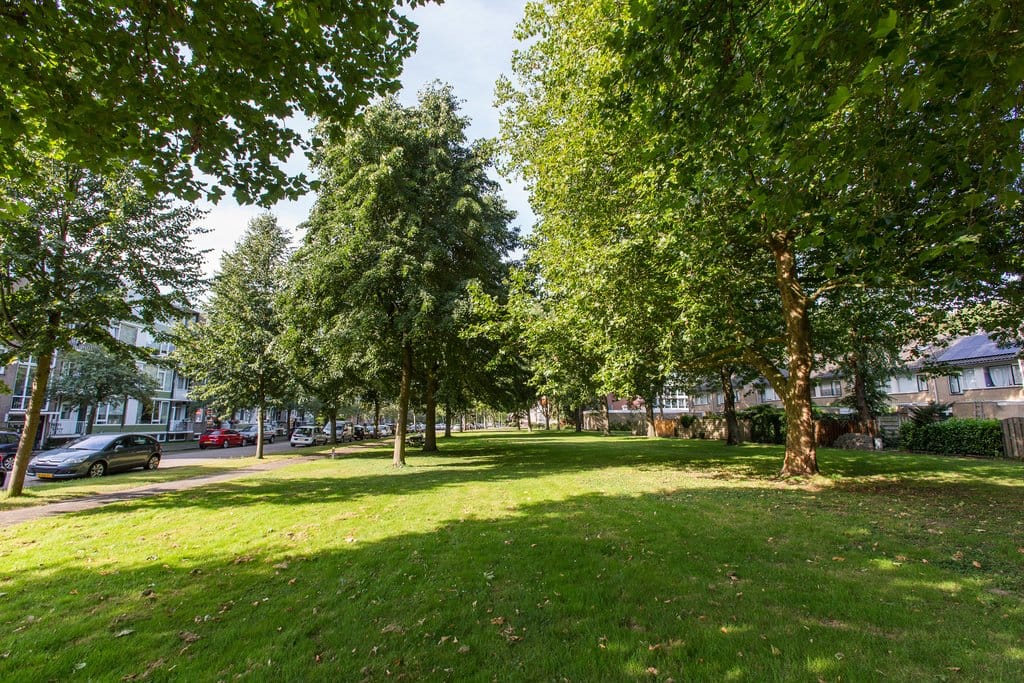 Foto 19 van Burmanlaan 96