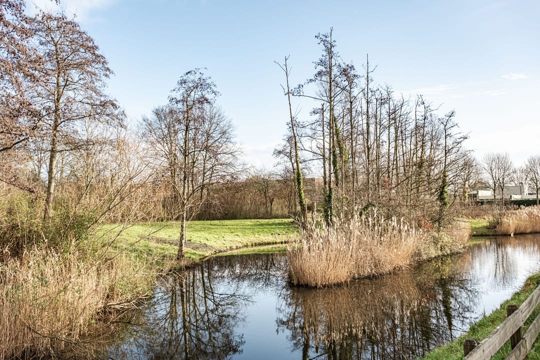 Photo 32 of Rosenholm 98