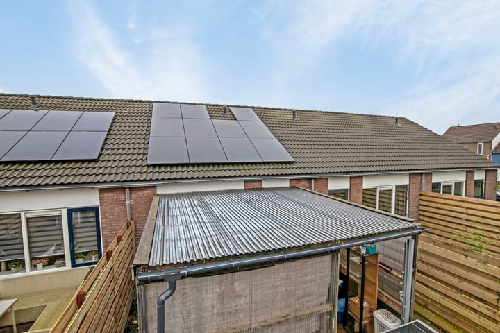 Foto 21 van Eendenkooi 6