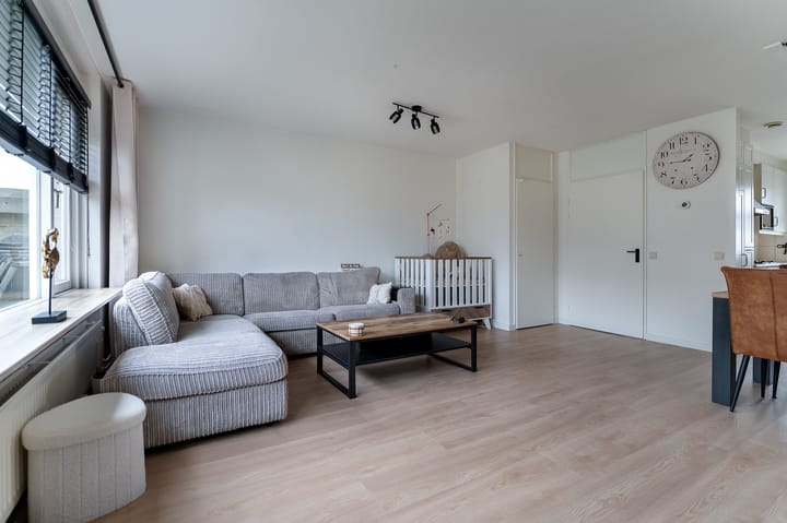 Foto 7 van Visarend 5