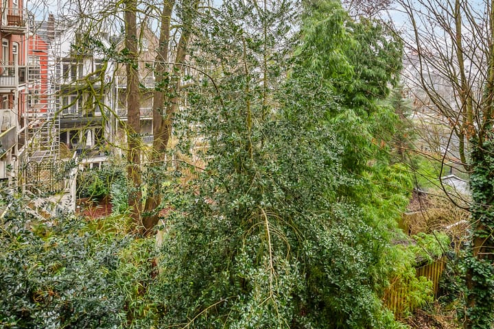 Foto 25 van Tweede Jan Steenstraat 95-2