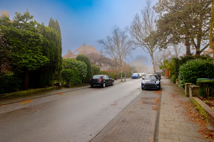 Foto 38 van Braziliëlaan 21