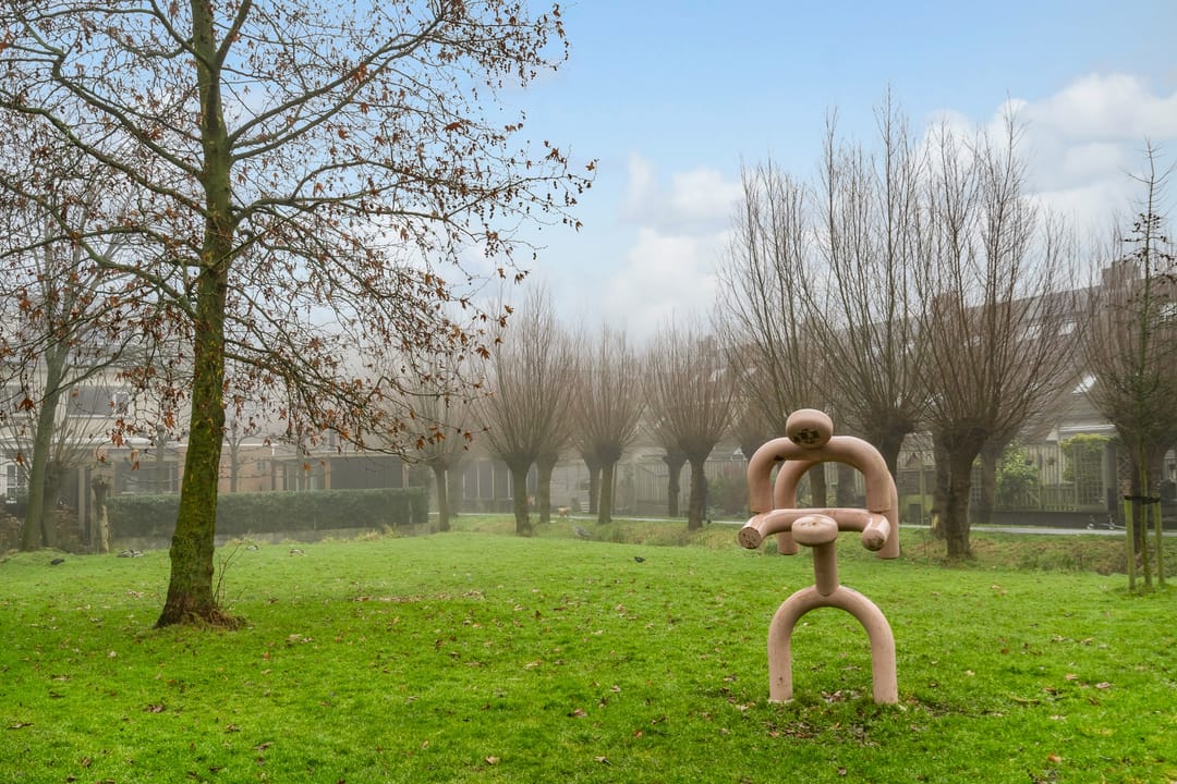 Foto 23 van Veerstoep 24