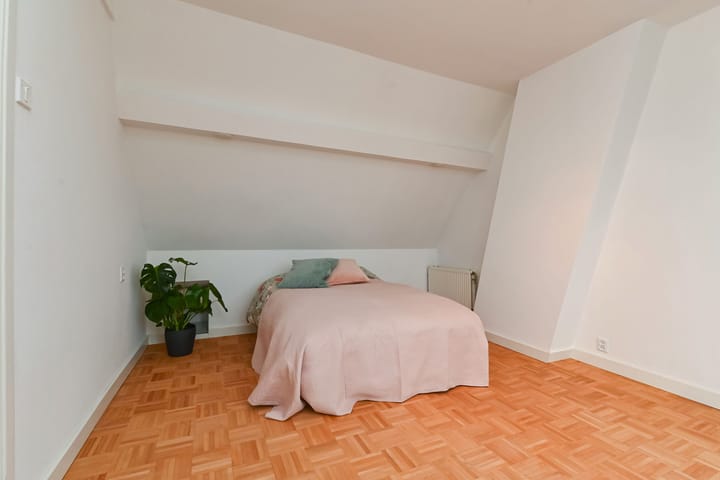 Foto 38 van Koningin Wilhelminalaan 381