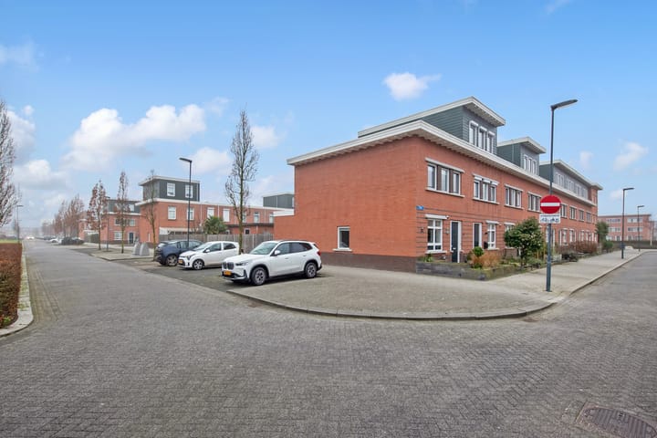 Foto 31 van Timor 19