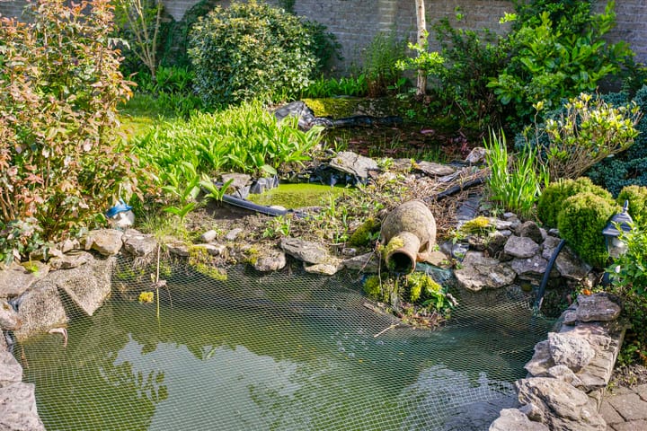 Foto 38 van Berkenlaan 24