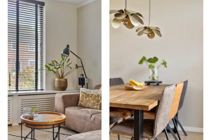 Foto 5 van Pieter de Hooghstraat 38