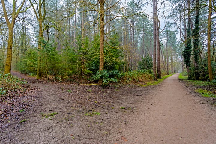 Foto 26 van J.H. Meijerstraat 15