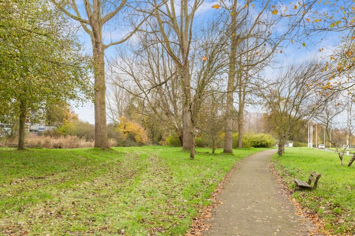 Foto 53 van Picassolaan 967