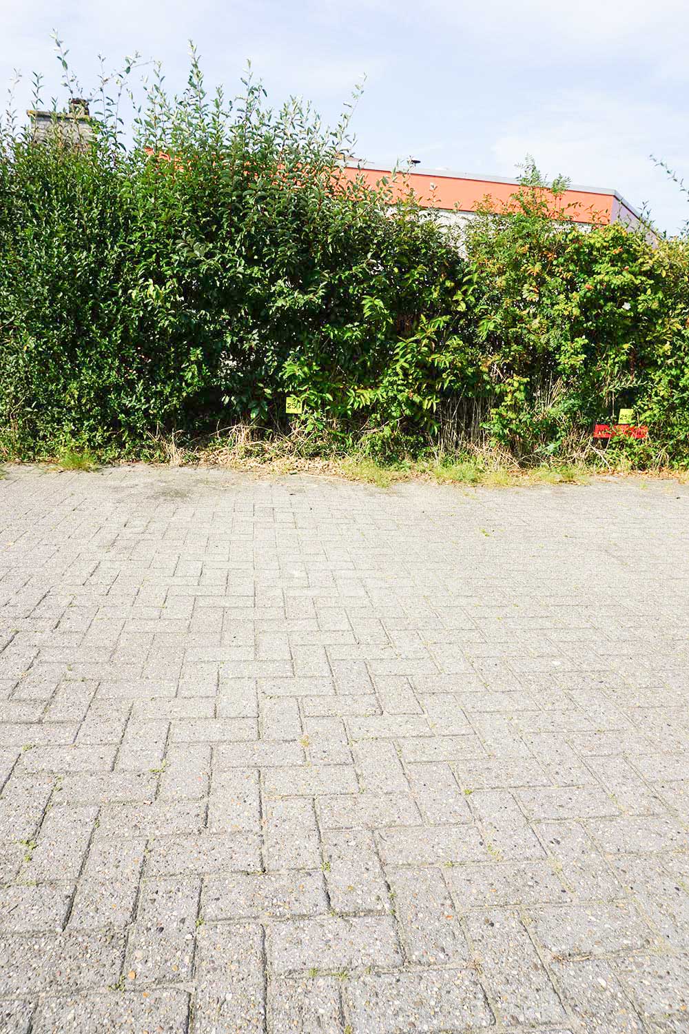 Photo 29 of Strandslag 250