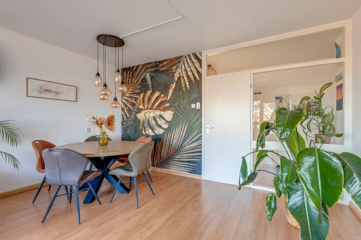 Foto 7 van Molengraaffplantsoen 23