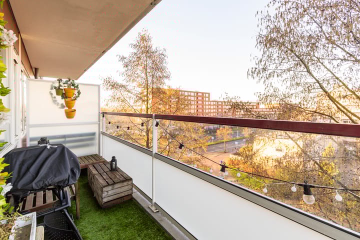 Foto 24 van Molengraaffplantsoen 23