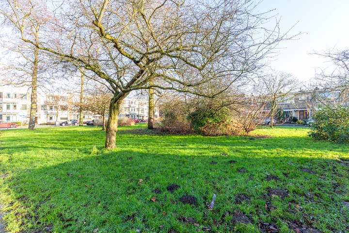 Foto 28 van Molengraaffplantsoen 23