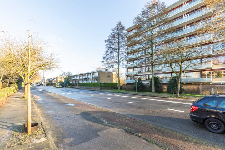 Foto 30 van Molengraaffplantsoen 23