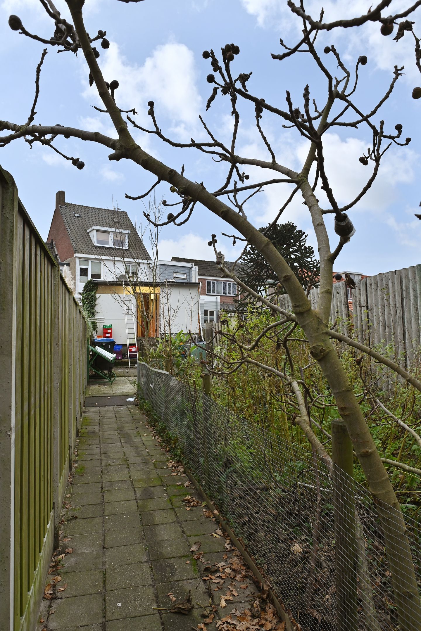 Foto 25 van Antwerpsestraatweg 107-A