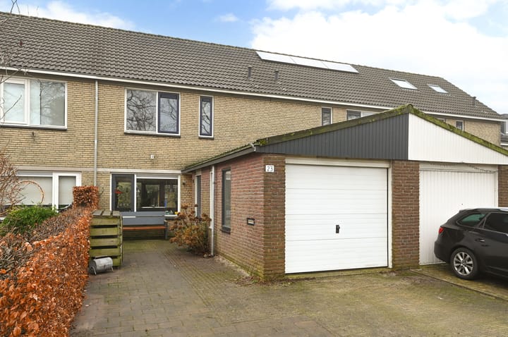 Foto 1 van Biggekruid 23