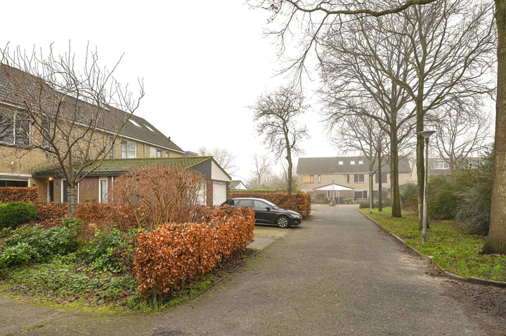 Foto 24 van Biggekruid 23