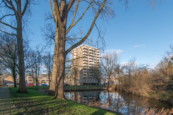 Foto 20 van Graaf Janstraat 55