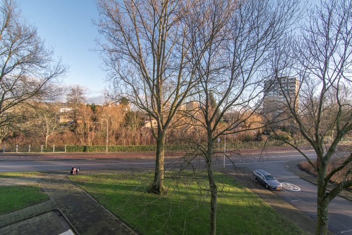 Foto 17 van Graaf Janstraat 55