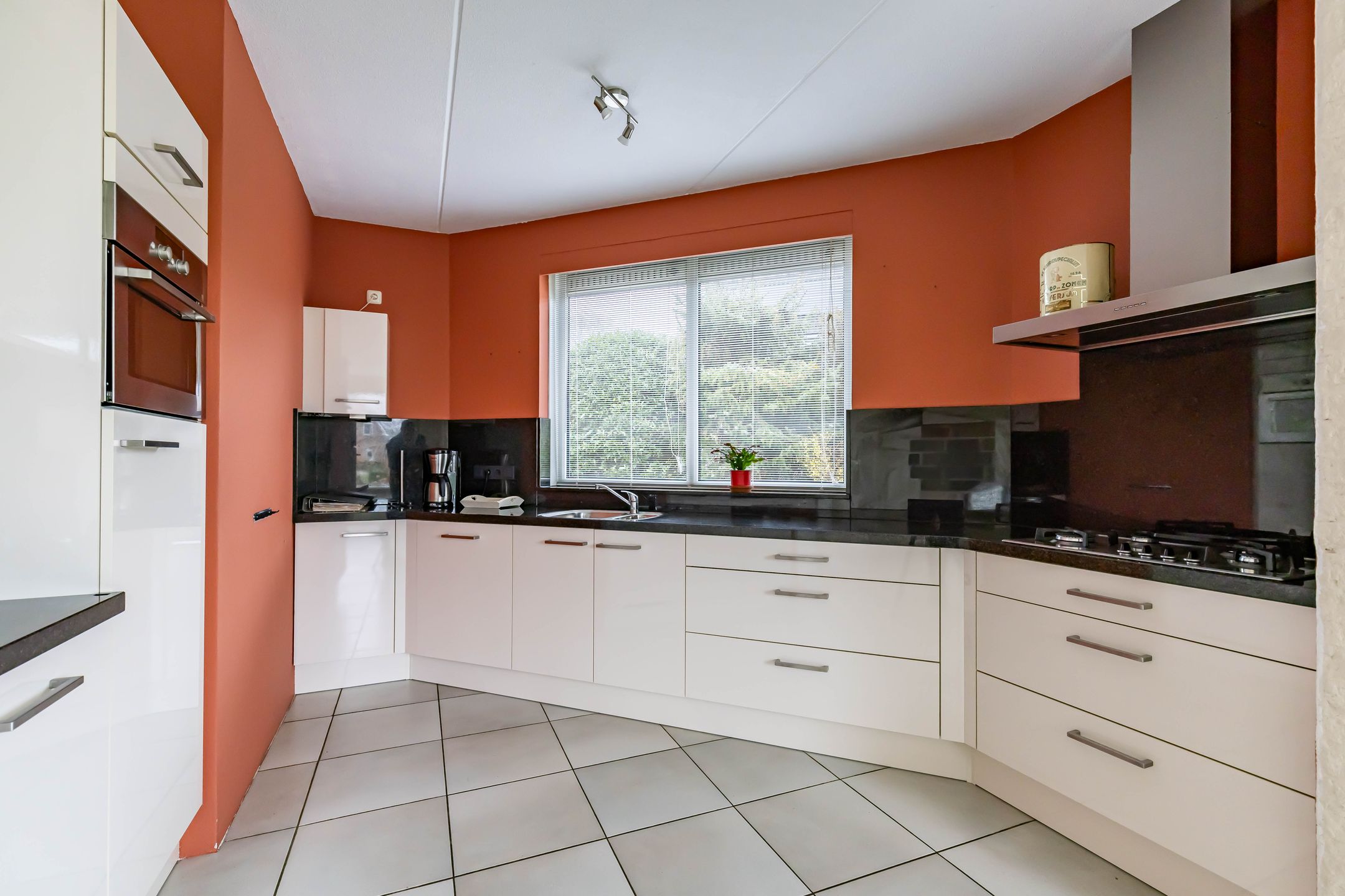 Foto 15 van Wyldsang 4