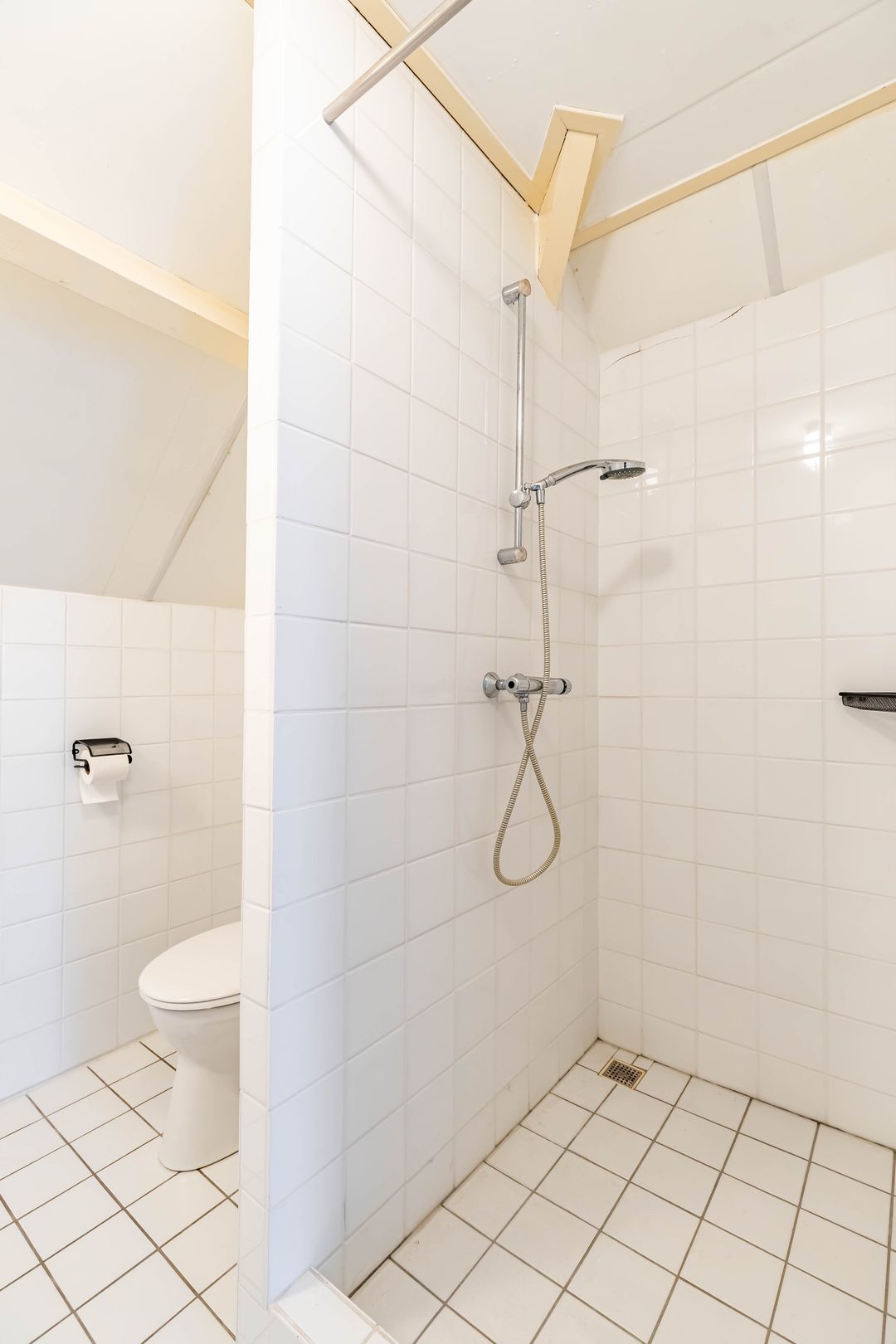 Foto 31 van Wyldsang 4