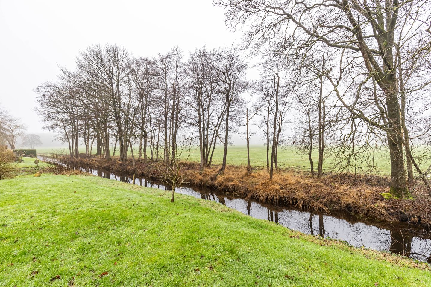 Foto 4 van Wyldsang 4