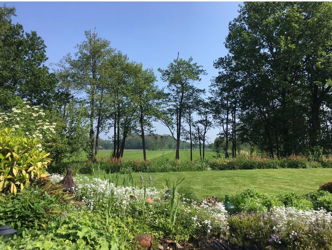 Foto 43 van Wyldsang 4