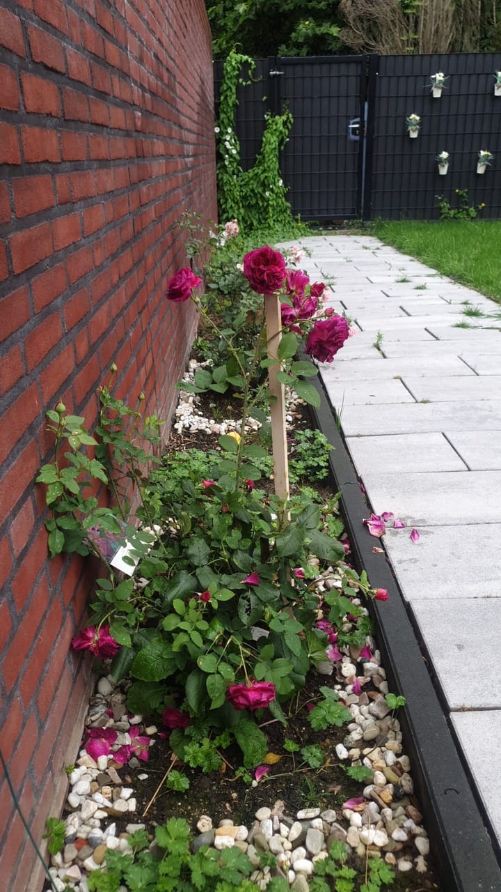 Foto 23 van Leonard Meullenersstraat 42