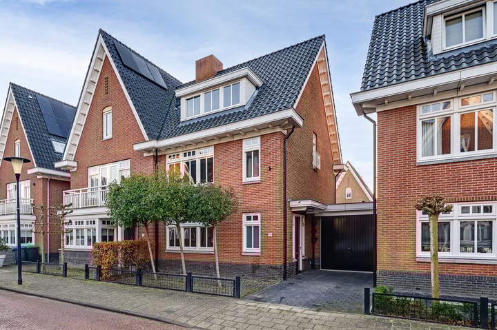 Foto 1 van Coniferenhout 19