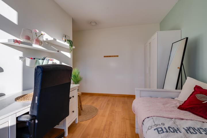 Foto 24 van Coniferenhout 19